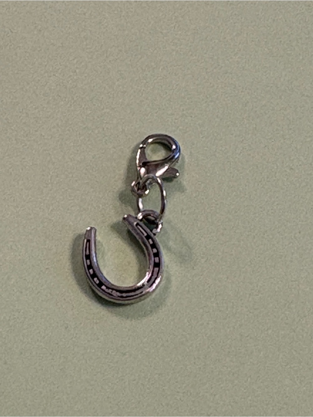 Horseshoe Clip-on Charm, Charms, Purse/Book-bag Charms, Crafting Projects